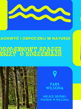 Zdjęcie ławki w parku, otoczonej wodą, ścieżką i drzewami. Wokół kolorowe napisy. Szczegóły na temat wydarzenia zawarte w treści artykułu.