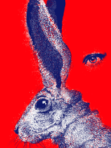 Rysunek królika w kolorze niebiesko-fioletowym. Czerwone tło, które częściowo jest zarysem profilu twarzy z jednym okiem. U góry i z lewej strony plakatu informacje o spektaklu.