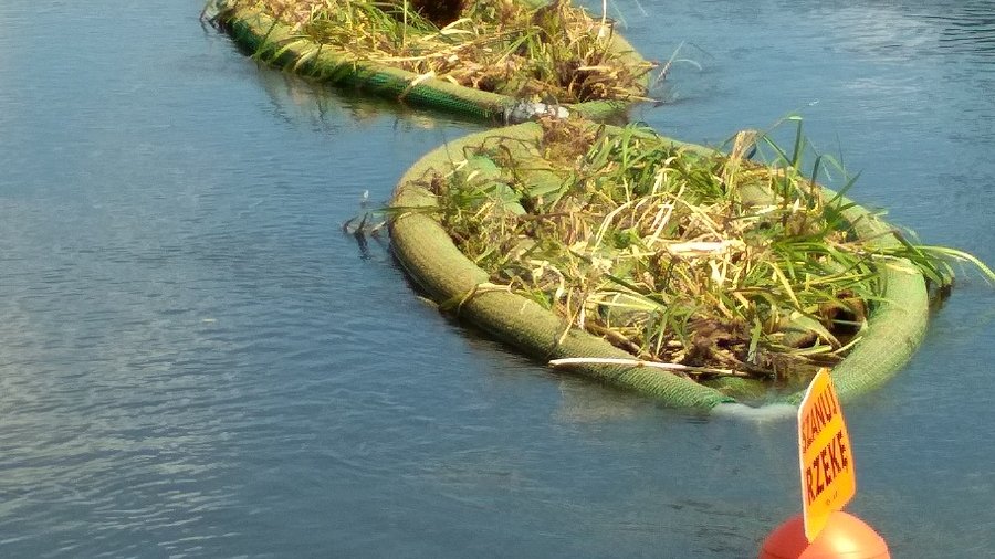 Ogrody pływające na rzece Warcie przy plaży miejskiej na Wildzie, autor - Fundacja OnWater.pl z Wrocławia