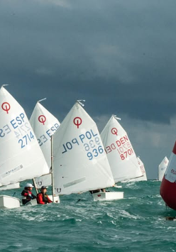 Srebrny Żagiel Optimista