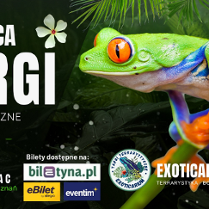 Plakat o targach terrarystycznych, jaskrawokolorowo żaba trzyma się zielonj gałązki, obok napisy informujące o wydarzeniu.