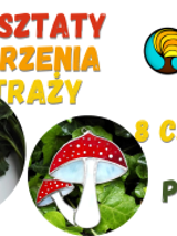 Plakat, który promuje warsztaty tworzenia witraży techniką Tiffany'ego. Na biały tle dwa witraże, jeden w kształcie dyni, drugi muchomorów. Obok kolorowe napisy, informujące o wydarzeniu.