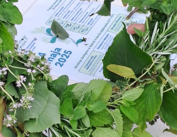 Wianek wykonany na warsztatach z tworzenia ziołowych wianków.