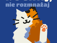 Wykastruj/wysterylizuj swojego kota za darmo