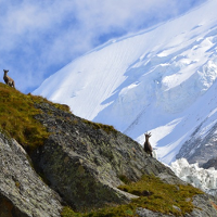 Wystawa fotograficzna Chamonix-Mont-Blanc