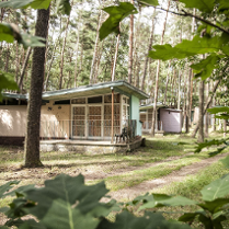 Na zdjęciu stare domki wypoczynkowe w lesie.