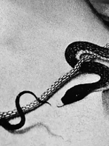 Na zdjęciu fragment wystawy.