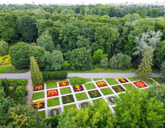 Zdjęcie przedstawia instalację kwiatową ułożoną w kształcie królewskich insygni - korony i berła oraz napis 1000 lat. Zdjęcie zrobiono z lotu ptaka.