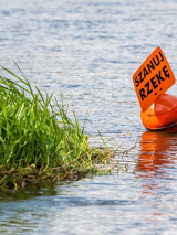 Na grafice plakat wydarzenia.