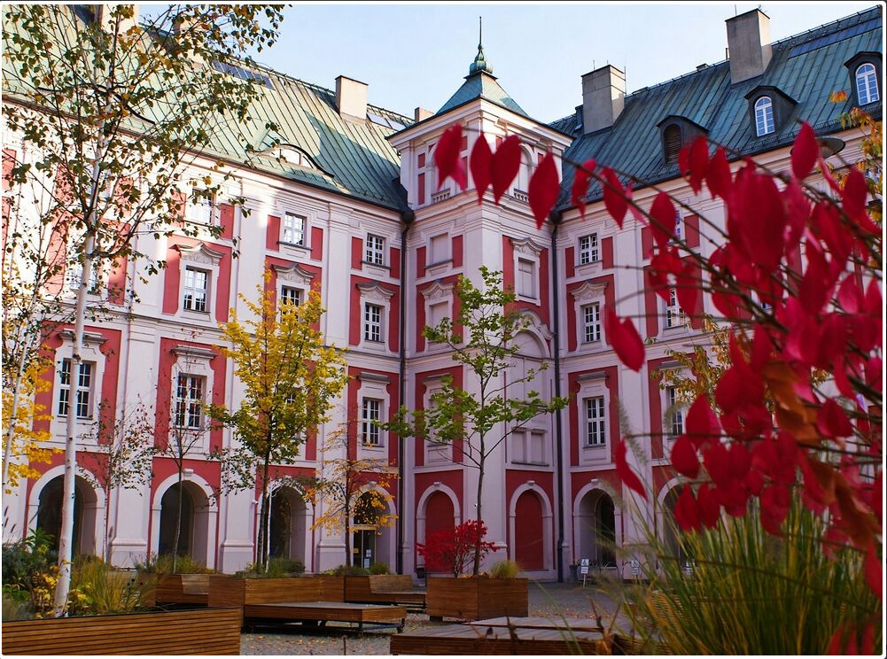 Міська Рада