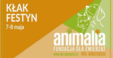 Цими вихідними відбудеться благодійний ярмарок Фонду для тварин «Animalia».Цими вихідними відбудеться благодійний ярмарок Фонду для тварин «Animalia».
