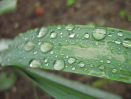 2 Konkursy w ramach V osi priorytetowej PO IiŚ