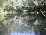 2 lutego - Światowym Dniem Mokradeł 2016