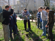 22 maja - zasadź drzewko w Światowy Dzień Różnorodności Biologicznej