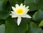 "Zmiany klimatu" hasłem tegorocznych MTE POLEKO 2006