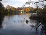 „RENOWACJA STAWÓW SOŁACKICH”