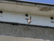 Apel Architektów Polskich - UWAŻAJ NA JERZYKI!