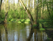 Bezpieczne wakacje na łonie przyrody! Co warto wiedzieć?