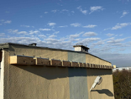 Budki dla ptaków zawisły na szkołach