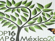 COP 16 w Cancún zakończone przyjęciem "zrównoważonego pakietu decyzji"