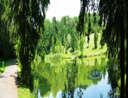 Dbaj o czystość naszych cieków!