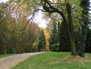 Do 30 października złóż pierwsze kwartalne sprawozdanie o zużytym sprzęcie elektrycznym i elektronicznym