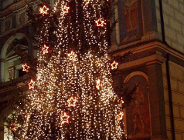 Drzewka bożonarodzeniowe