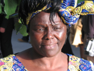 Drzewo dla Wangari Maathai