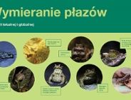 Działania ochronne i edukacyjne na "Traszkach Ratajskich"