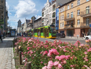 Dzień bez samochodu