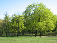 Dzień Ziemi 2009. "Wiosenne Porządki - Poznań 2009" pod hasłem "DBAJ O CZYSTOŚĆ I WIZERUNEK MIASTA"