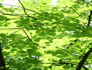 Dziś Światowy Dzień Ochrony Środowiska Naturalnego!