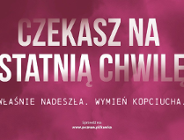 Ekodoradcy ruszają w miasto