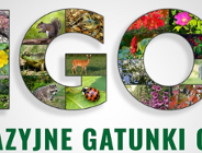 IGO - inwazyjne gatunki obce w Poznaniu