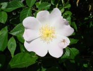 III Konkurs programu priorytetowego "Zarządzenie energią w budynkach użyteczności publicznej"