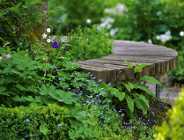 Informacja o projekcie "Zielona Ławeczka"