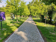 Informacja o wynikach otwartego konkursu nr 40/2021 na powierzenie realizacji zadań miasta w obszarze ekologii i ochrony zwierząt oraz ochrony dziedzictwa przyrodniczego w 2021 roku