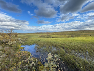 Jak przeciwdziałać zmianom klimatu? Weź udział w konsultacjach