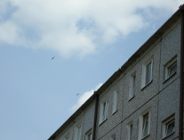 Jerzyk potrzebuje naszej pomocy!