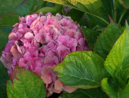 Jeszcze do 15 grudnia możesz dołączyć do europejskiej kampanii pn."Ty też masz wpływ na zmiany klimatu"