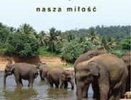 Jolanta i Karol Węglarscy "Azja - nasza miłość". Wystawa fotograficzna w Ogrodzie Botanicznym w Poznaniu