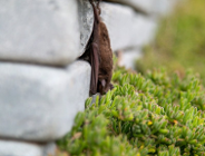 Kartka z ekokalendarza - Międzynarodowa Noc Nietoperzy