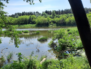 Komunikat Wielkopolskiego Wojewódzkiego Inspektora Ochrony Roślin i Nasiennictwa