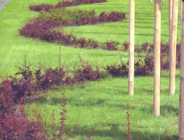 Konferencja pn."Zieleń Przydrożna"