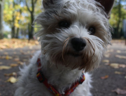 Konkurs Ekologia i ochrony przyrody - rozstrzygnięty