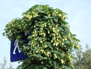 Konkurs fotograficzny "Przyroda- Człowiek- Zrównoważony rozwój"