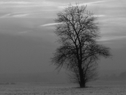 Konkurs fotograficzny Przyroda Ojczysta 2015