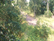 Konkurs na fotoreportaż pt."Wakacyjny wypoczynek w lesie - 2006"