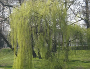 Konkurs NFOŚiGW na dofinansowanie inwestycji proekologicznych