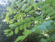 Konkurs plastyczny, fotograficzny i dziennikarski 2006 o Nagrodę Marszałka Województwa Wielkopolskiego